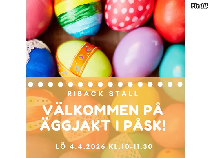 Säljes Stalldag med äggjakt