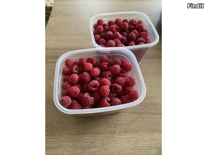 Myydään 1,5 liter skogshallon