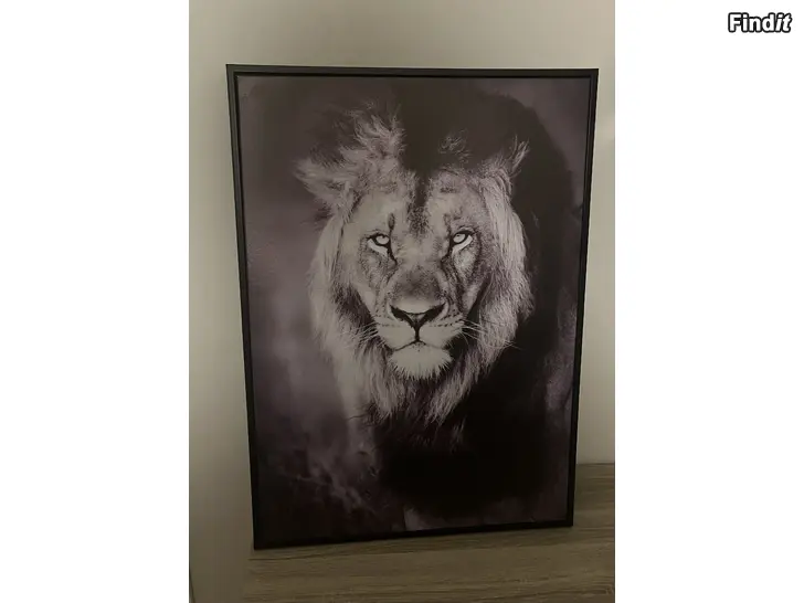 Myydään Kaksi taulua