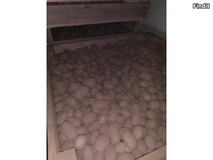 Säljes Ekopotatis