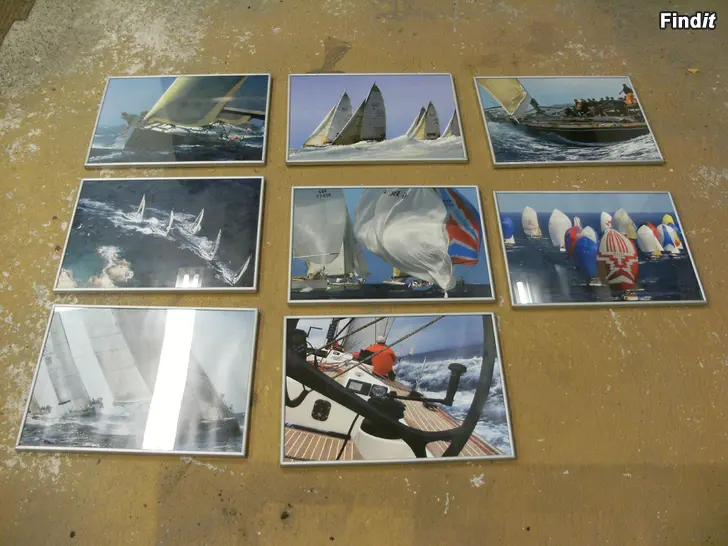 Säljes Segelbåtar Tavlor
