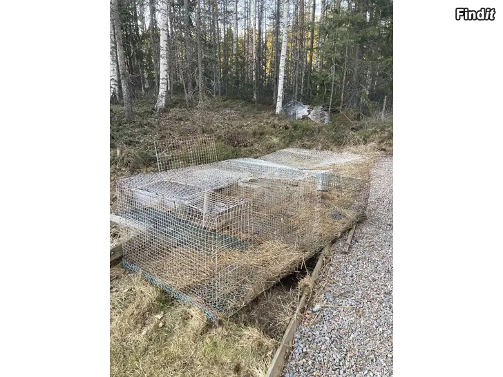 Säljes Rävbur/kaninbur