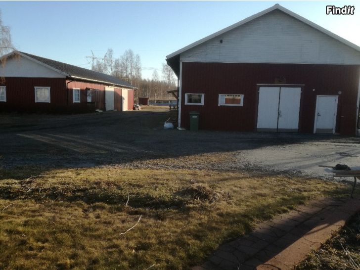 Myydään Uthyrning av industrihallar i Kristinestad Dagsmark