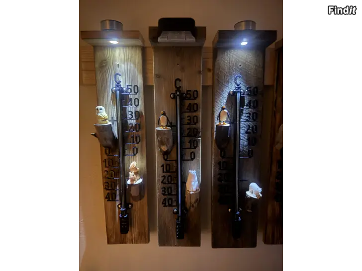 Myydään Termometer