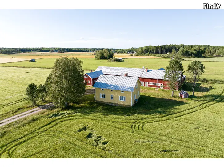 Säljes Egnahemshus, ekonomibyggnad och åker. Total areal 10,3 ha. Larvvägen 309, Vörå