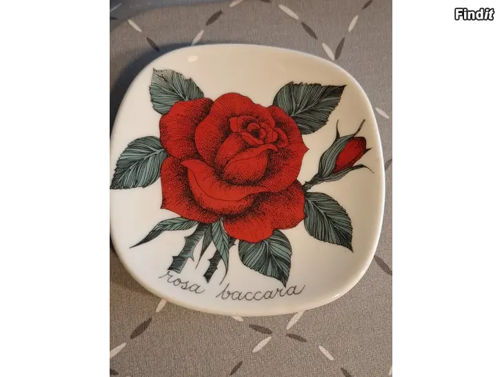 Myydään Ester Tomula seinälautanen