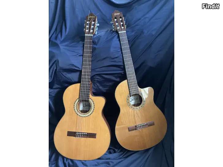 Säljes Gitarrer  dragspel