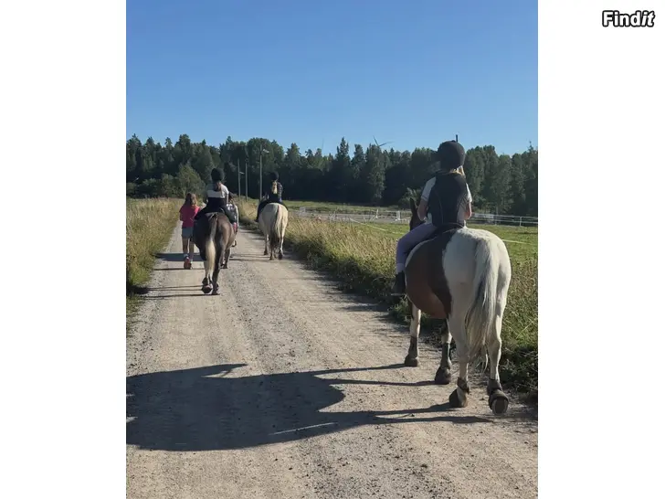 Säljes Ponnyskola