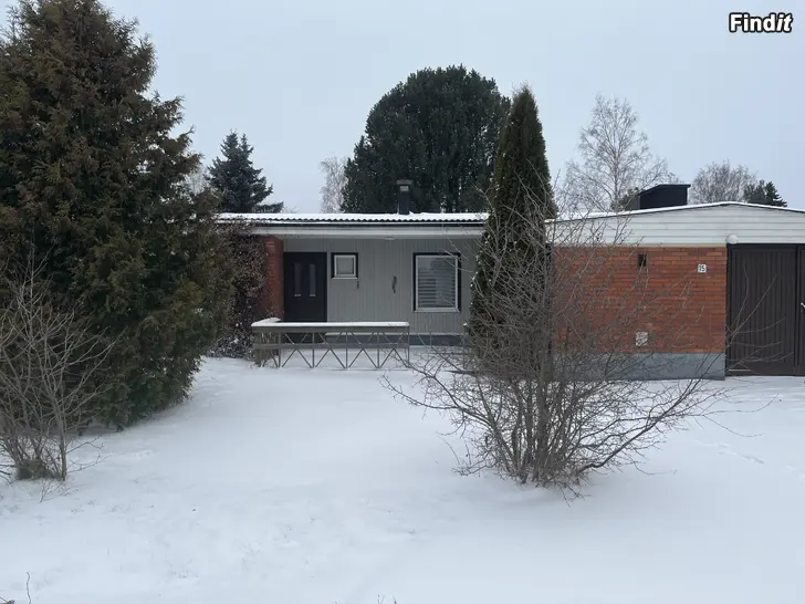 Vuokrataan Rent house