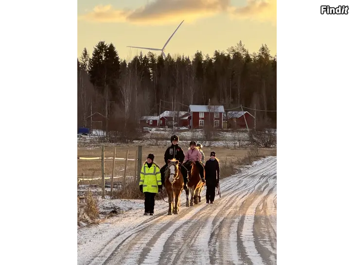 Myydään Ponnyklubb