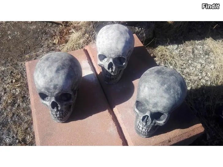 Myydään Pääkalloja