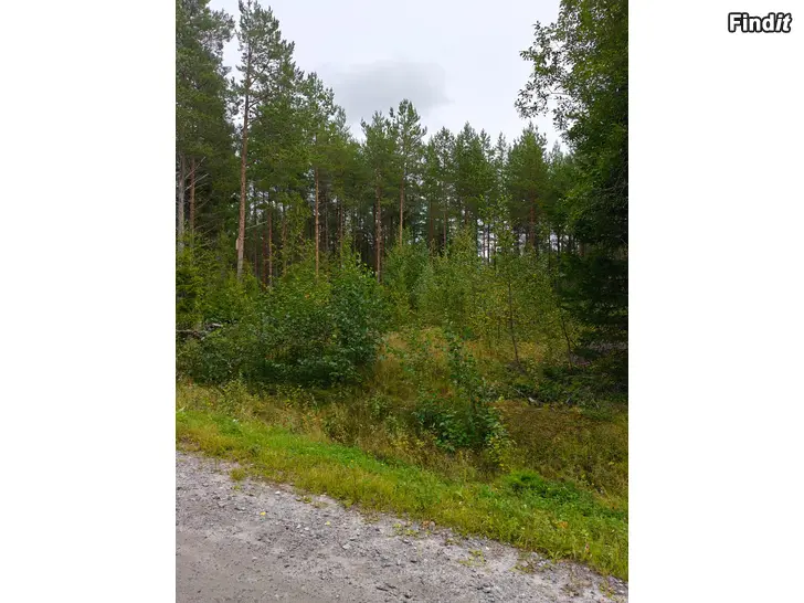 Säljes Tomt i Kackur