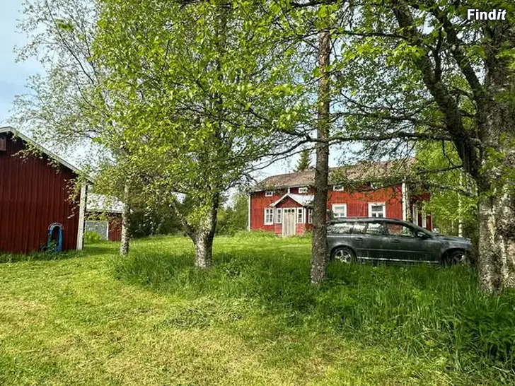 Myydään Pieni tila