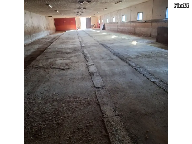 Myydään vanha sikala