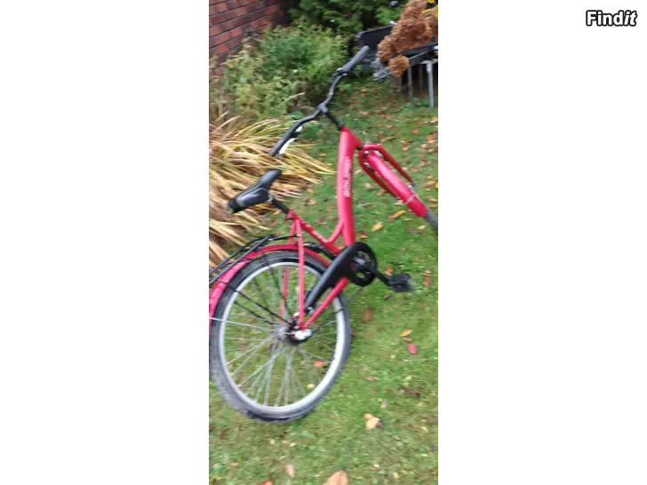 Myydään Solifer 24 tuum