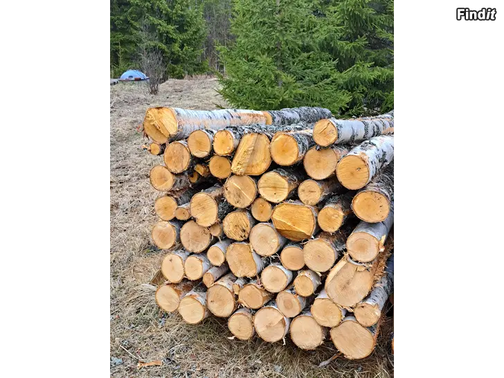 Säljes Polttopuuta kuvan kasa koivua