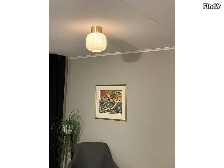 Myydään Vanja Plafondi