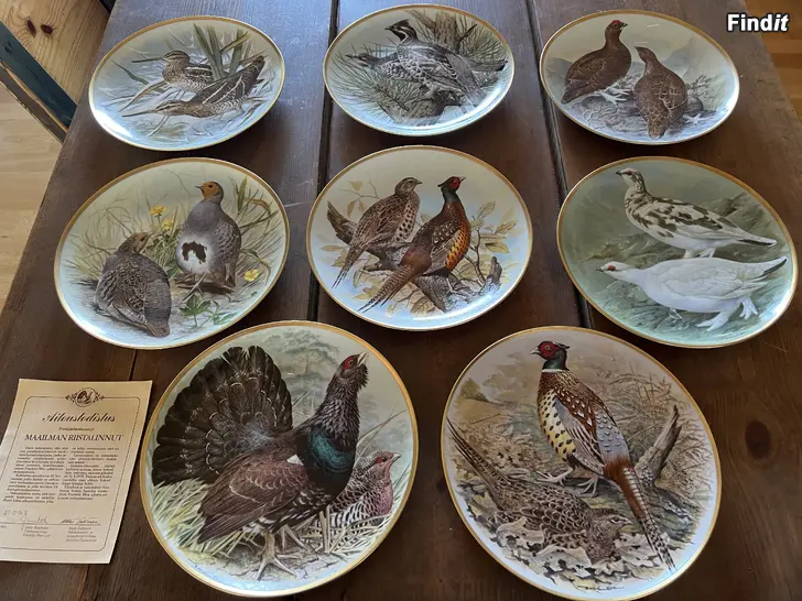 Myydään Fågeltallrikar