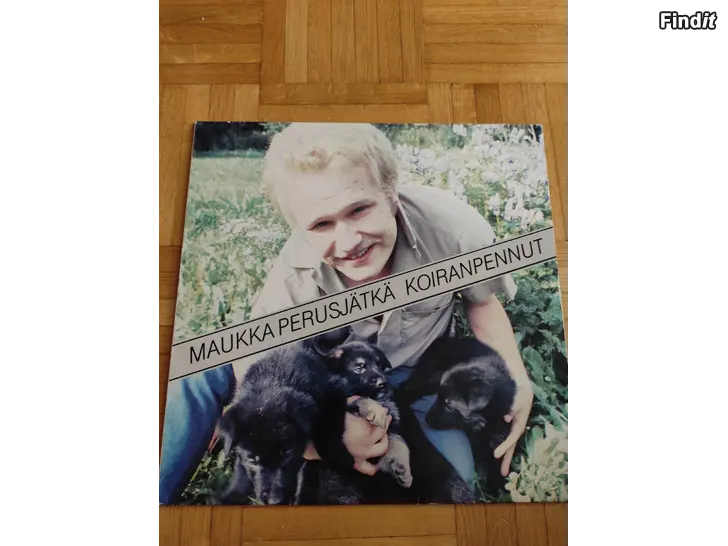 Myydään Maukka Perusjätkä  Koiranpennut, LP
