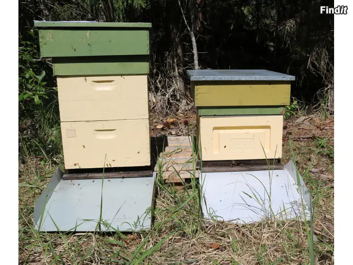 Myydään Mehiläspesä/Mehiläispesiä