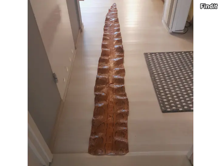 Myydään Käärmeen nahka