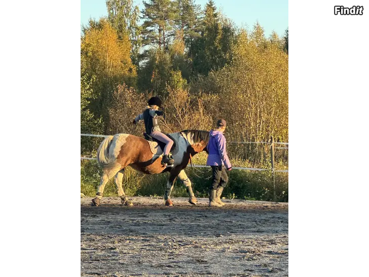 Myydään Ponnyklubb