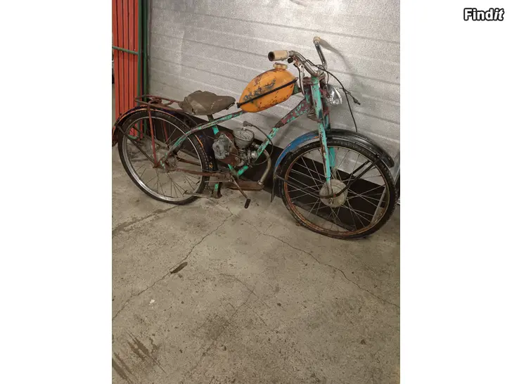 Myydään Rysky mopsi