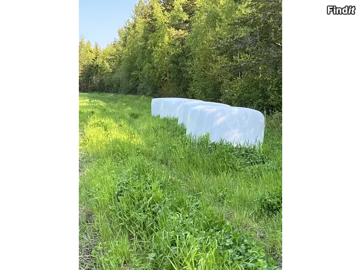 Säljes Hö/ ensilage