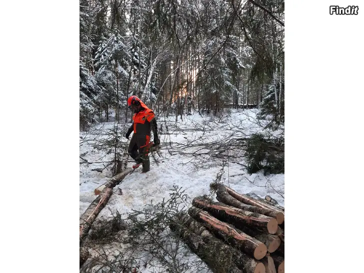 Säljes Ved och skogsarbeten