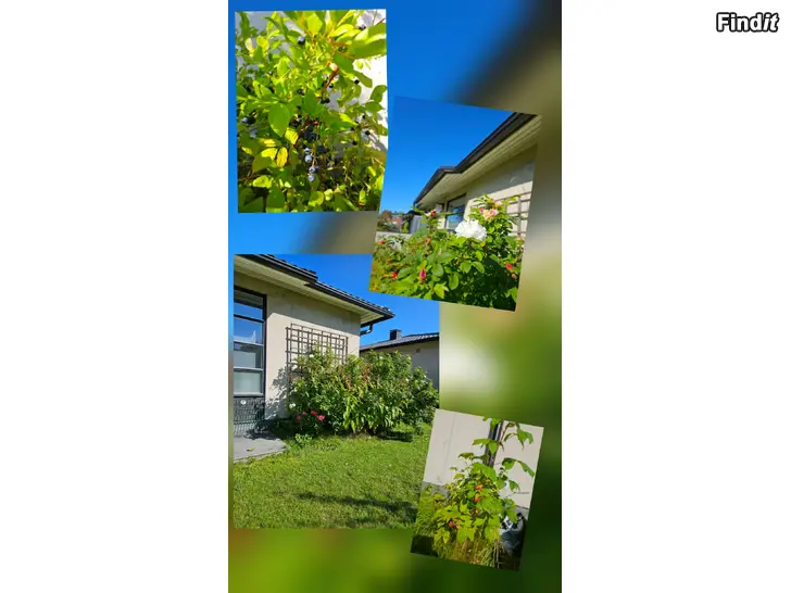 Säljes Fristående hus i bolag / Erillistalo asunto-oy