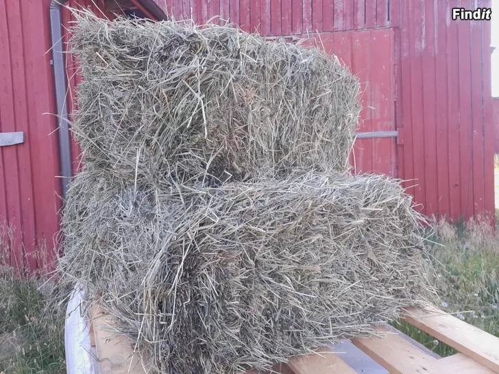 Säljes Torr Hö