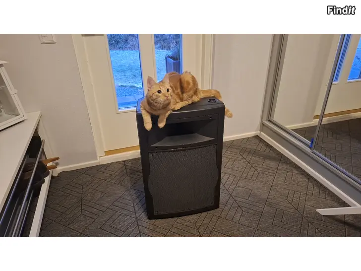 Säljes D.A.S DS15 AKTIV