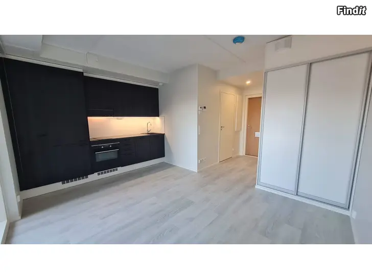 Vuokrataan 1h+kt+parveke  /  24,5 m²  /  Myllykatu 14 F  /  Kesäviilennys + pesukone
