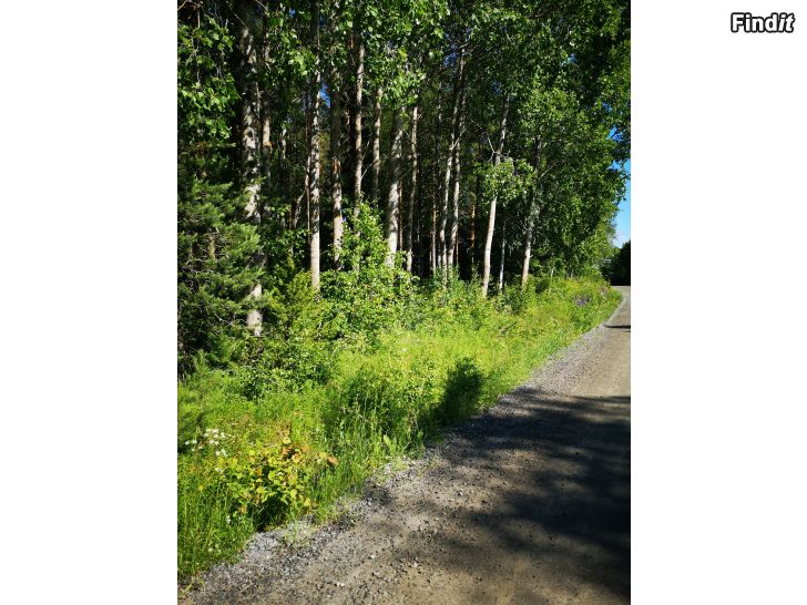 Myydään Naturskön skogstomt i Övermark