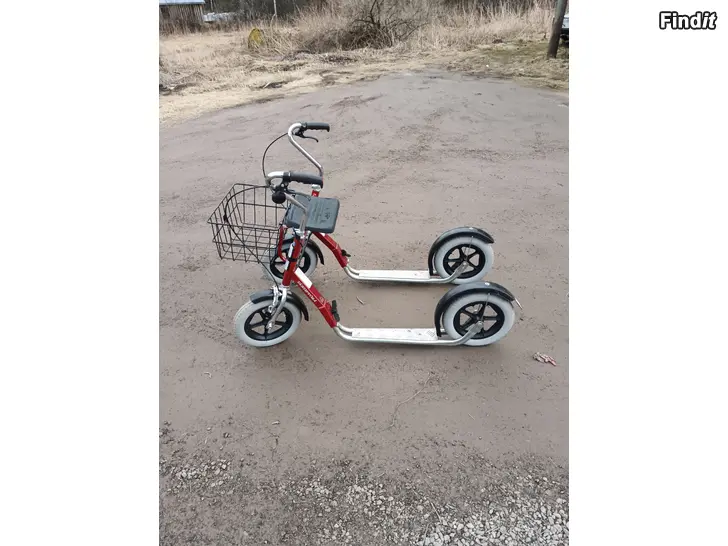 Säljes Tähtipyärä