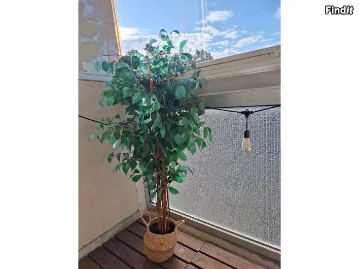 Säljes Plastväxter til salu