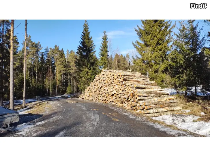 Ostetaan Köper björkmassaved