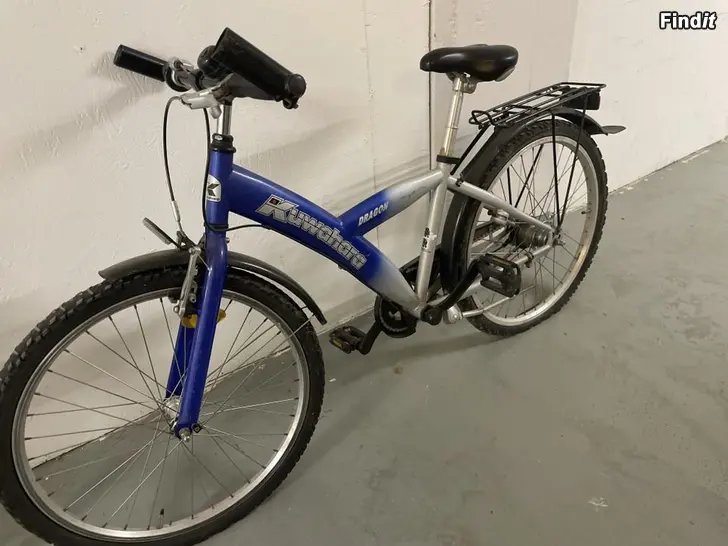 Säljes Pojkcykel, Flickcyklar