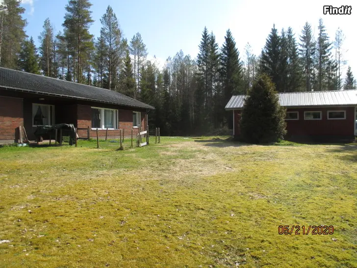 Myydään Ryhdikäs 1980-luvun perustalo. 120m2 , 5h+k+s+kph+kho. Puutarhatontti n.3000m2 sekä metsätila,1,5h