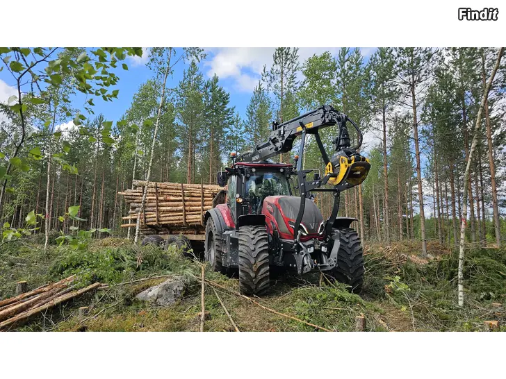 Myydään Utkörning av virke/ vindfällen