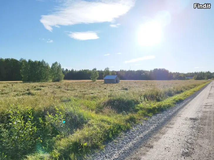 Myydään Skog och åkrar, Taklax