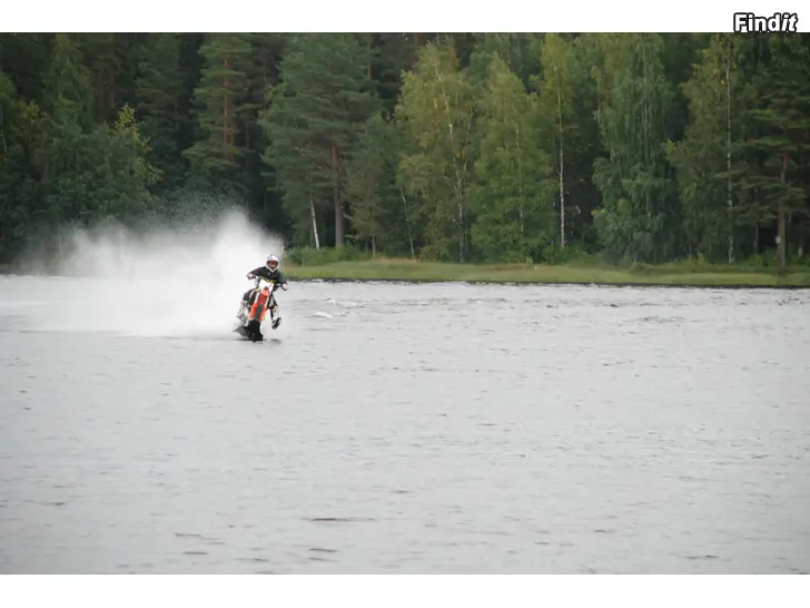 Myydään lohi