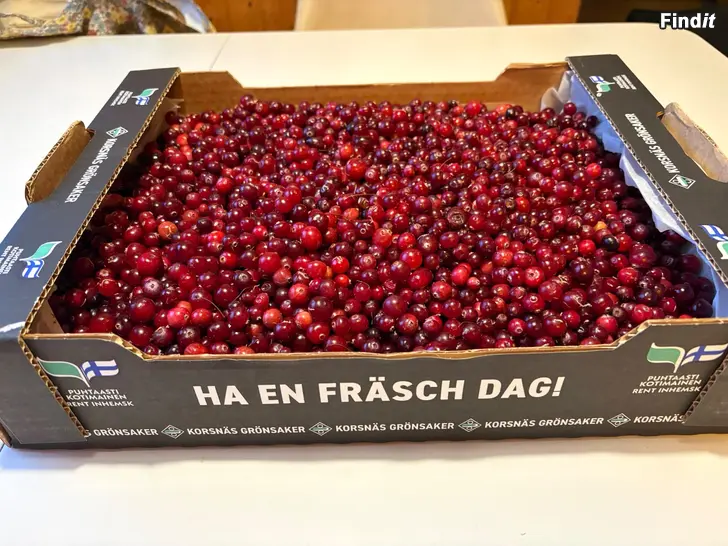 Säljes Rensade tranbär