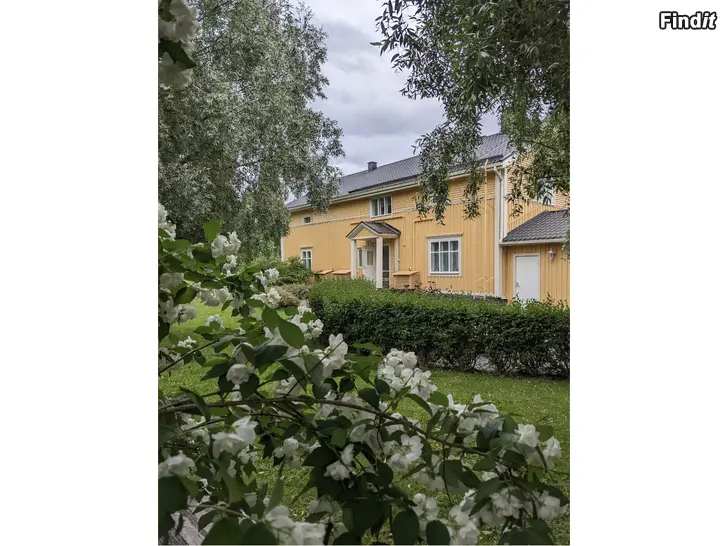 Uthyres 53 m2 uthyres centralt på lugnt naturnära område i Närpes centrum