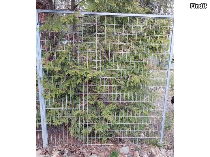 Myydään Jämti koiratarha
