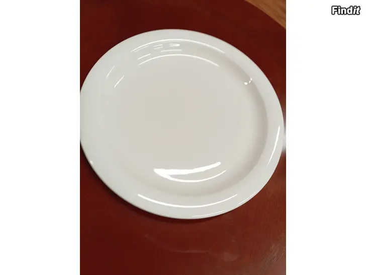 Myydään Arctica tarjoilulautanen