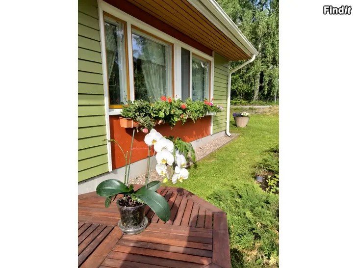 Myydään omakotitalo maaseudulla vesistöjen läheisyydessä