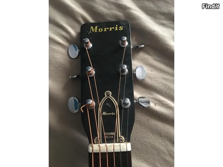 Myydään Morris akustinen kitara