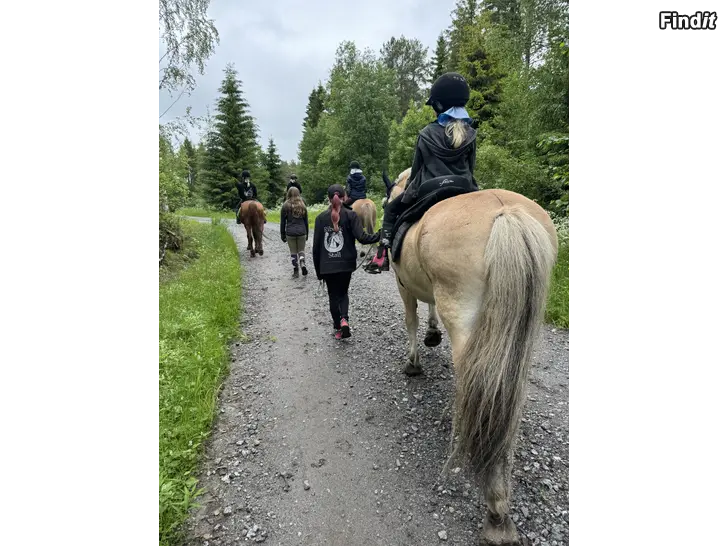 Säljes Ponnyklubb