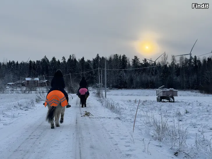 Myydään Vuxengrupp i ridning
